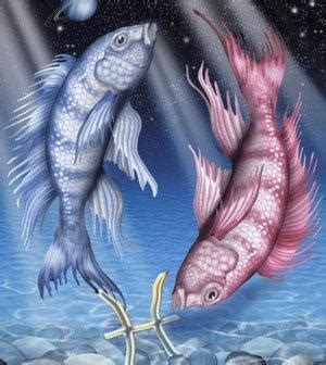 招財小型魚|【養魚 招財】養魚招財，讓你財運亨通！養魚風水5大重點，6大。